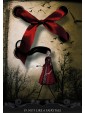 Journey of a Lonely Soul Oracle Cards by Charles Harrington & Anna Majboroda